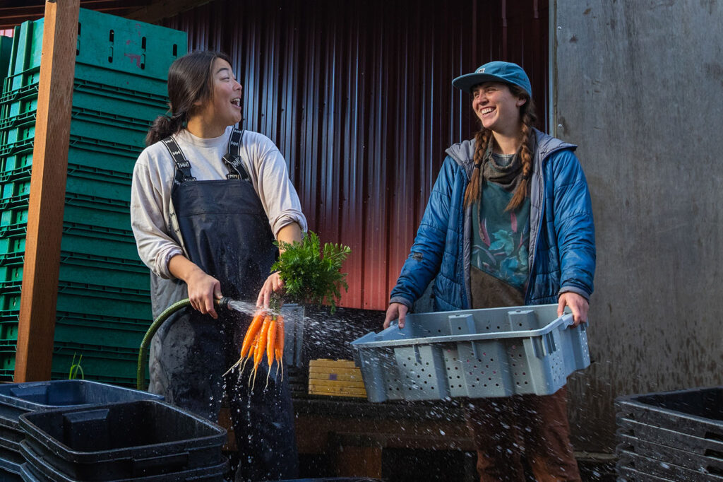 bet88 casino login ph